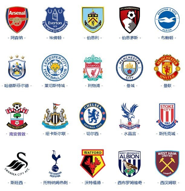 职业生涯的 职业生涯的